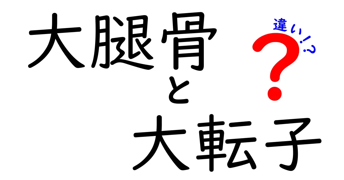 大腿骨　大転子　違いを図解つきで徹底解説｜中学生にも分かる3つのポイント