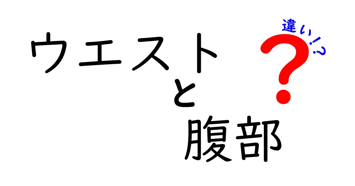 ウエストと腹部の違いを徹底解説！名前が似ている理由と測り方・ダイエット時の誤解をすべて解消