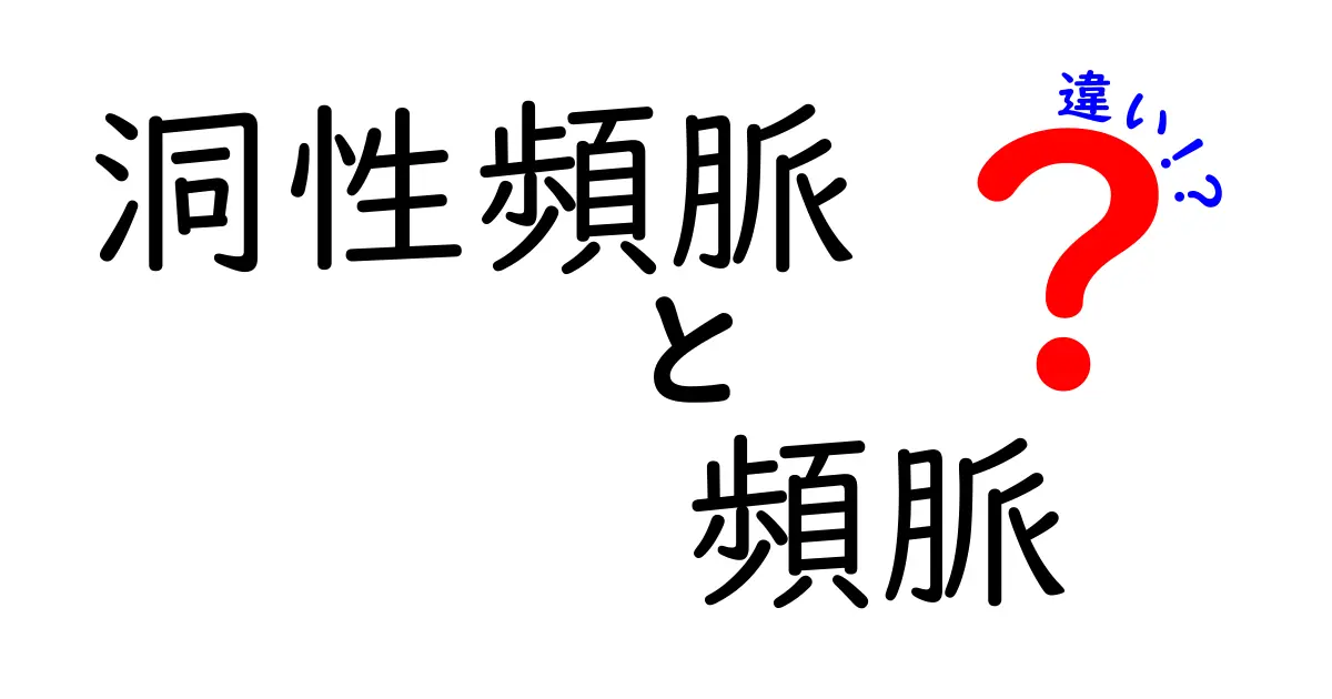 洞性頻脈と頻脈の違いを徹底解説！中学生にもわかる原因と見分け方