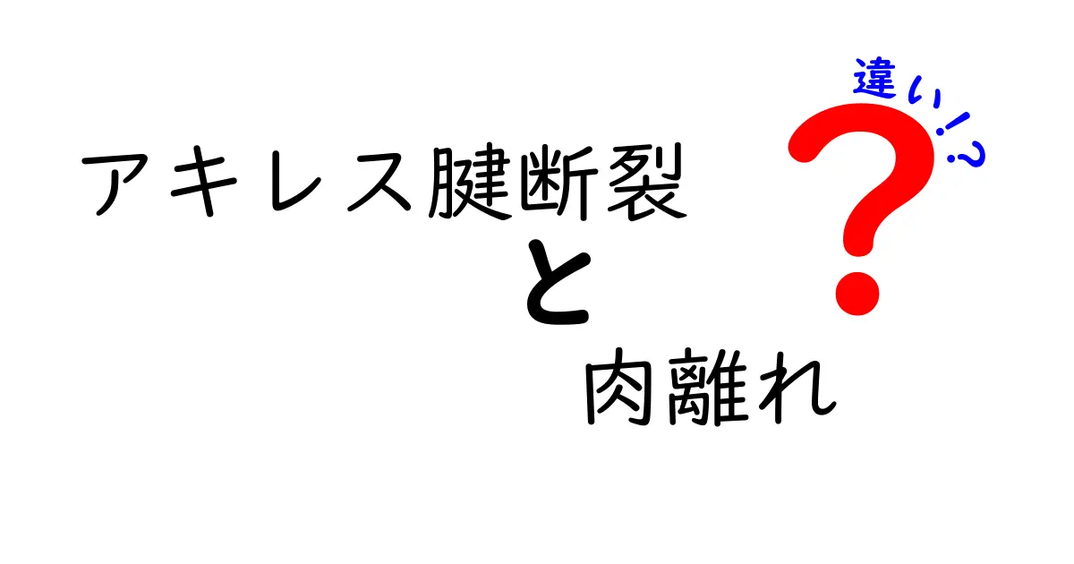 アキレス腱断裂と肉離れの違いを徹底解説！原因・見分け方・応急処置を中学生にも伝わる図解付きで