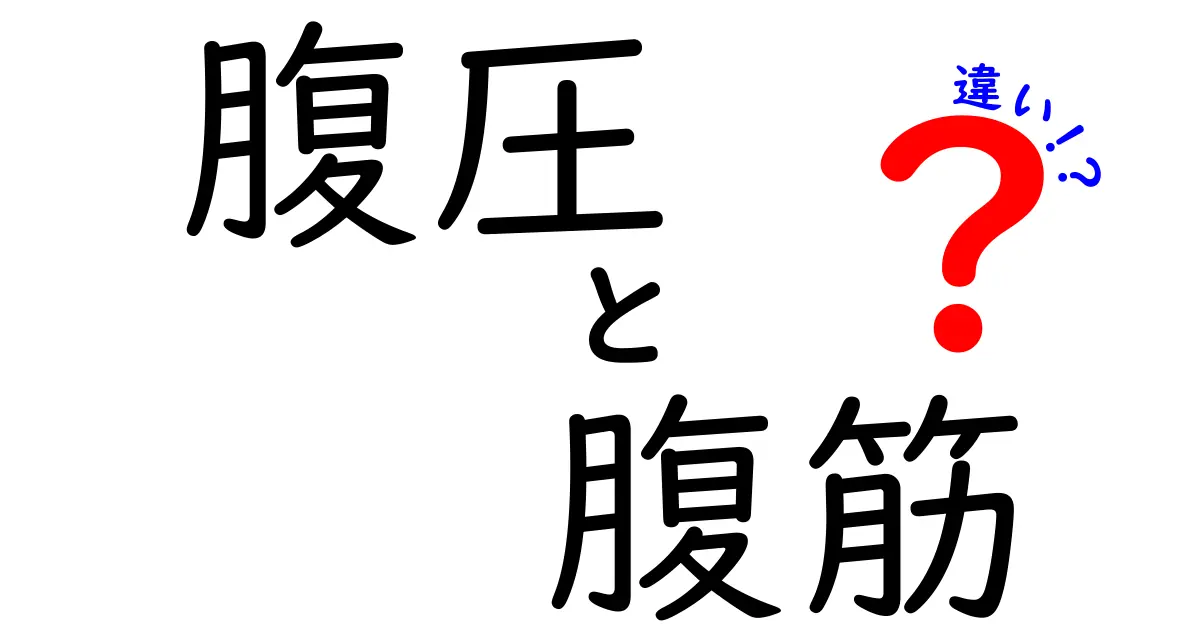 腹圧と腹筋の違いを徹底解説！腰痛予防から美姿勢まで、今日から使える基礎知識