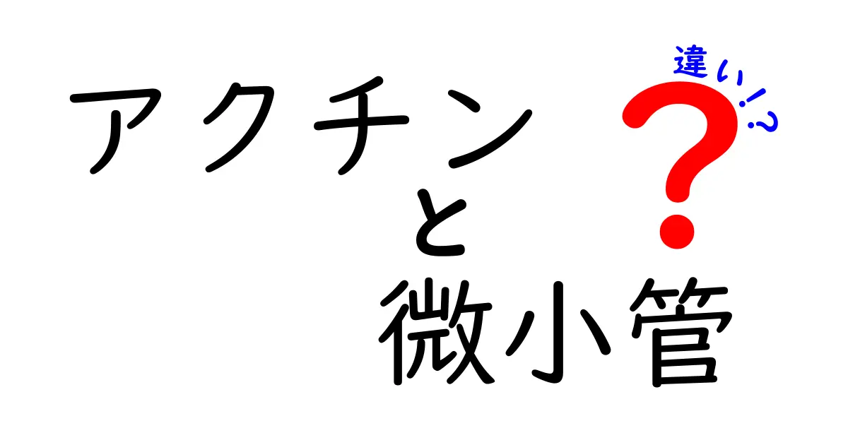 アクチンと微小管の違いを徹底解説｜中学生にも分かる詳解ガイド
