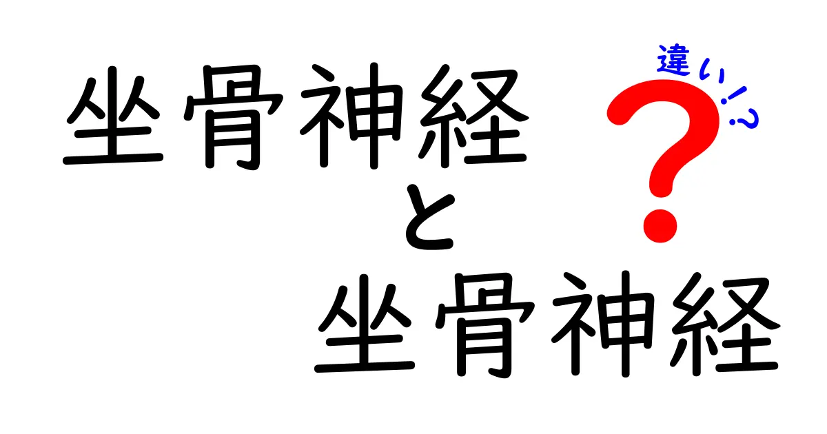 坐骨神経と坐骨神経の違いを徹底解説！同じ名前なのにどう違うの？中学生にも分かる3つのポイント