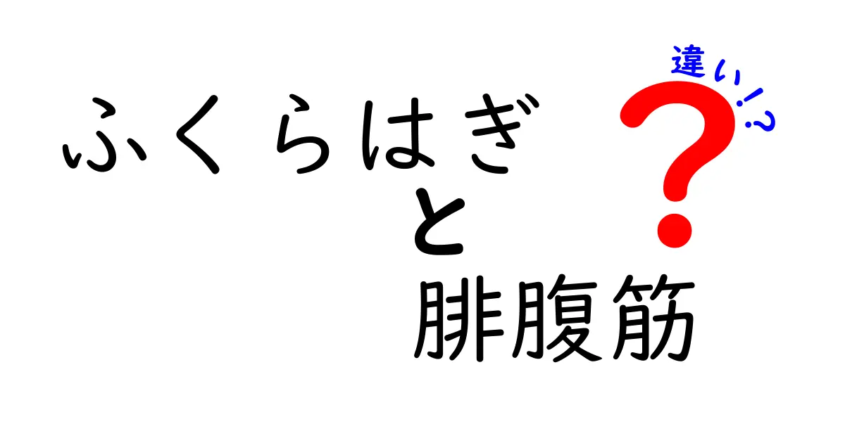 ふくらはぎと腓腹筋の違いを徹底解説—名前の違いと使い方の違い