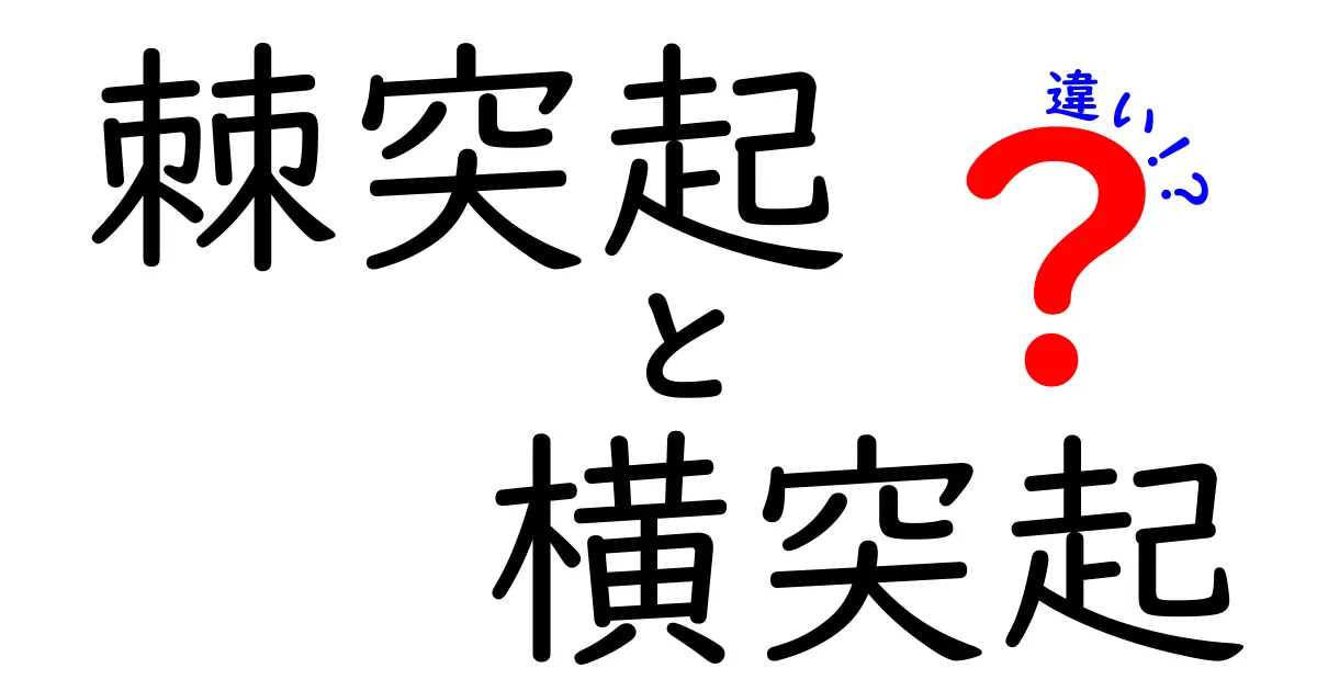 棘突起と横突起の違いを徹底解説！中学生にもわかる背骨のヒミツ