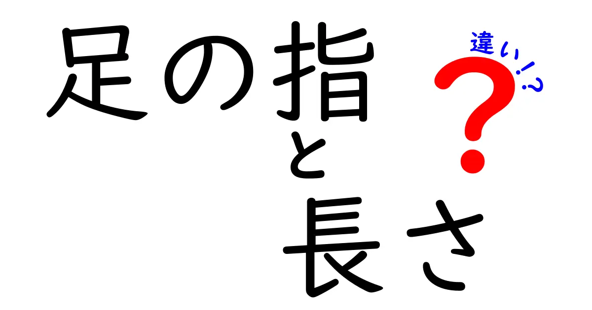 足の指の長さの違いが教えてくれる体の秘密—タイプ別の特徴と日常への影響