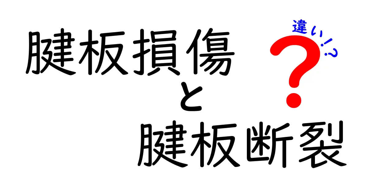 腱板損傷と腱板断裂の違いを徹底解説｜初心者にもわかる見分け方と治療の基礎