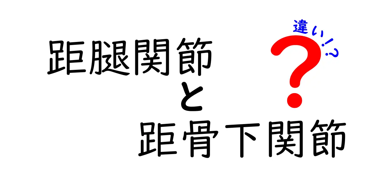 距腿関節と距骨下関節の違いを徹底解説 – 足首のしくみと痛みの原因を分かりやすく理解する