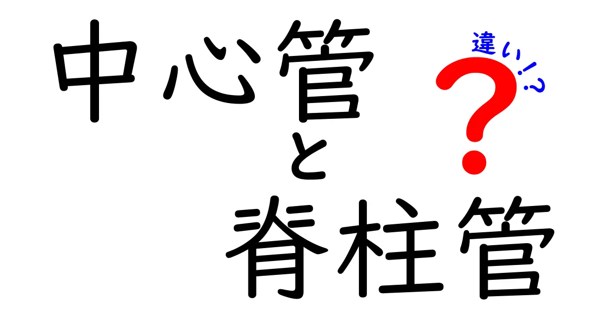 中心管と脊柱管の違いがすっきり分かる！図解つきでやさしく解説