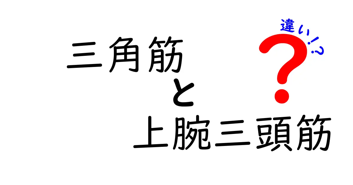 三角筋と上腕三頭筋の違いを徹底解説！部位別の役割と効果的なトレーニング方法