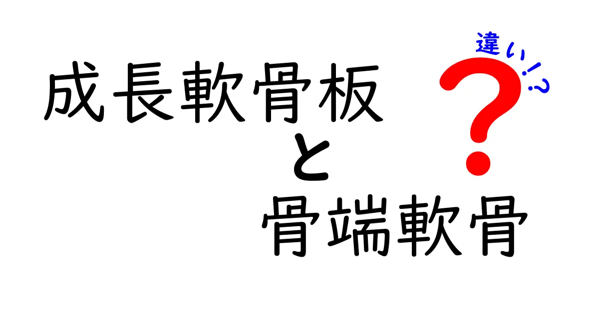成長軟骨板と骨端軟骨の違いをやさしく解説！成長の仕組みと見分け方