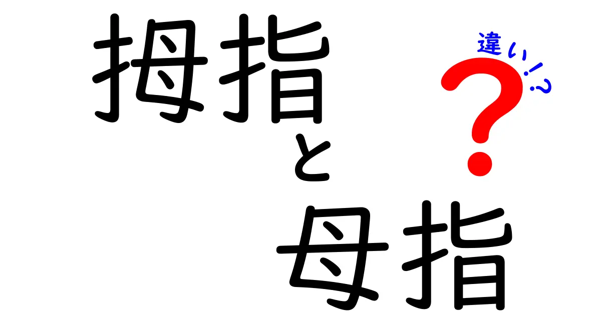拇指と母指の違いを徹底解説！日常と専門で使い分けるコツと表現の極意
