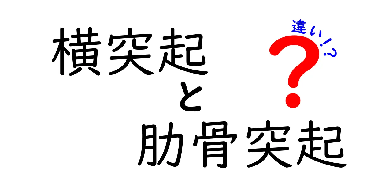 横突起と肋骨突起の違いを徹底解説：解剖の基本を押さえよう