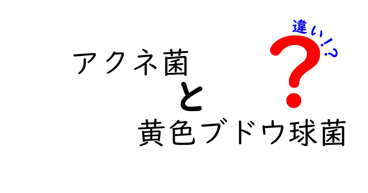 アクネ菌と黄色ブドウ球菌の違いを徹底解説！顔のニキビと感染の本当の正体は何？