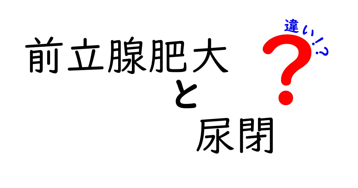 前立腺肥大と尿閉の違いを徹底解説！症状の見分け方と受診のタイミングを知ろう