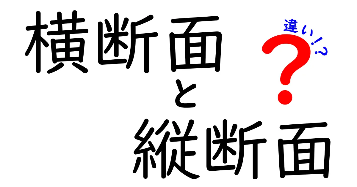 横断面と縦断面の違いを徹底解説！中学生にもわかる基本ガイド