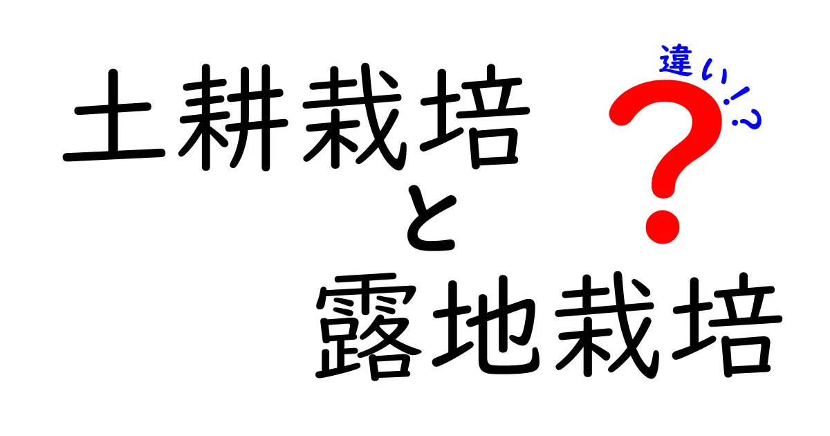 土耕栽培と露地栽培の違いを徹底解説！特徴・メリット・デメリットを分かりやすく比較
