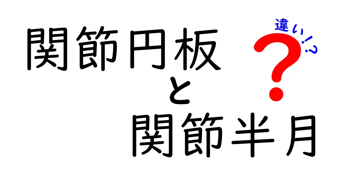 関節円板と関節半月の違いを徹底解説｜場所・役割・痛みの原因を見抜くヒント