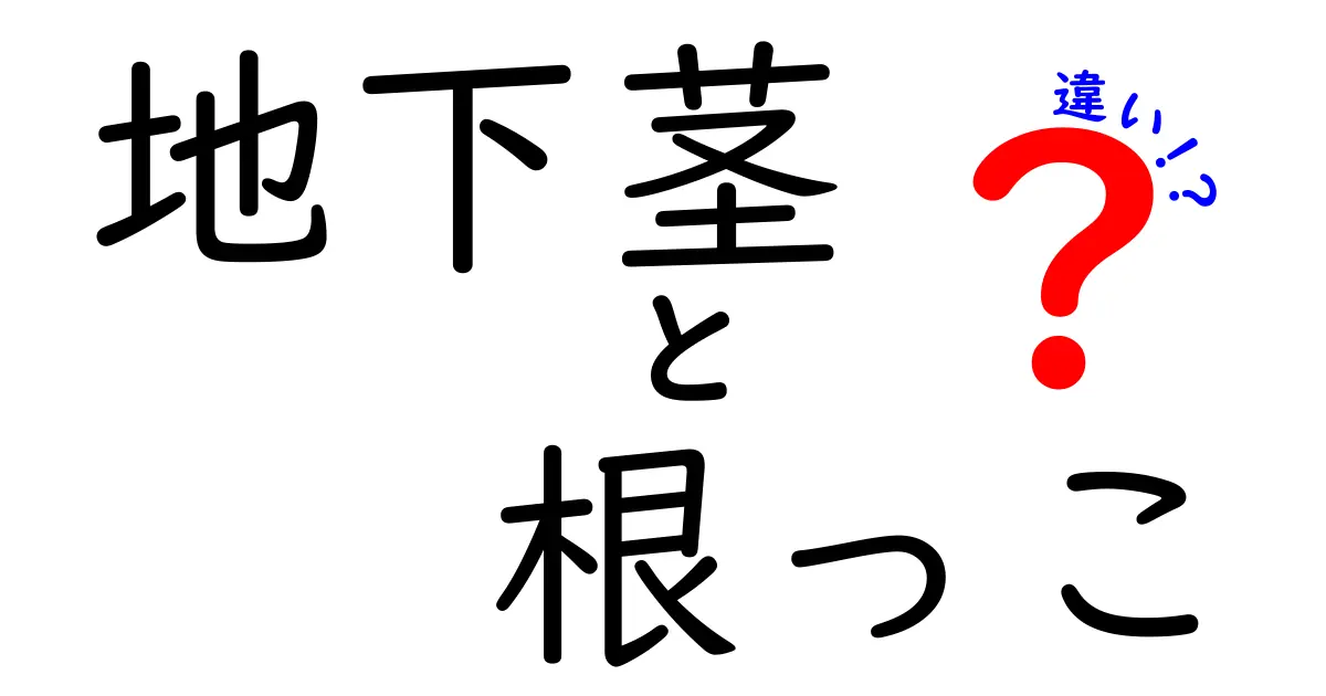 地下茎と根っこの違いを一気に解く！中学生にもわかる図解解説