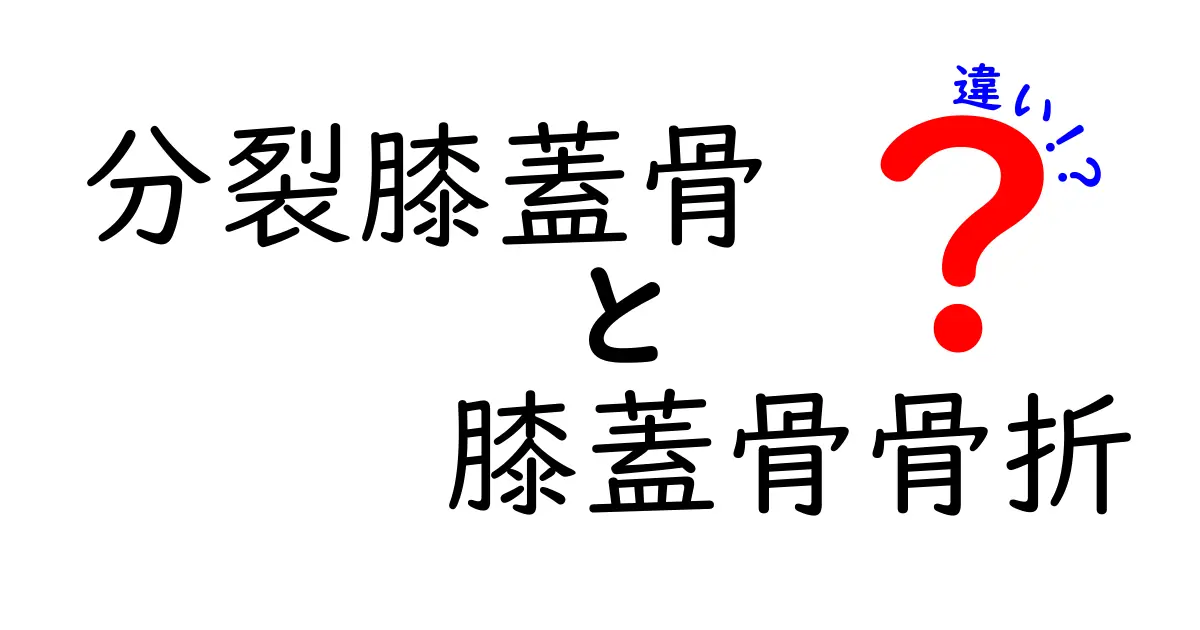 分裂膝蓋骨と膝蓋骨骨折の違いを徹底解説｜見分け方と治療のポイント