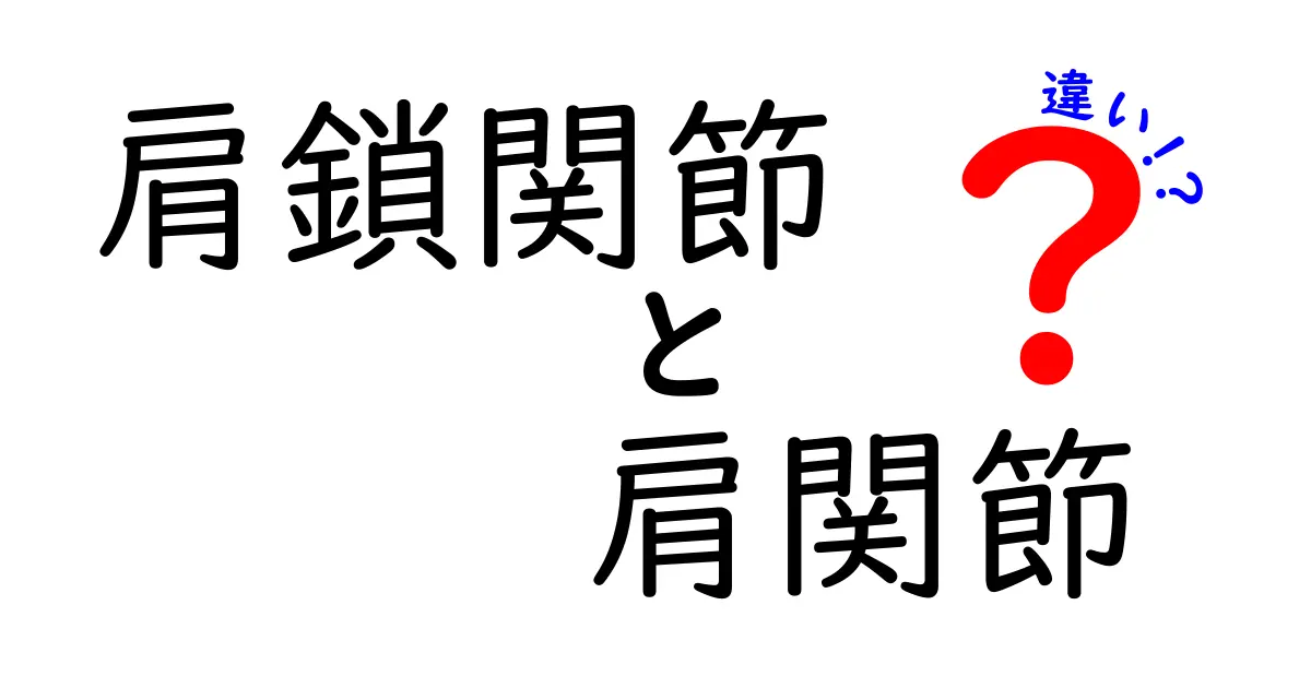 肩鎖関節と肩関節の違いを徹底解説！中学生にもわかる図解付きガイド