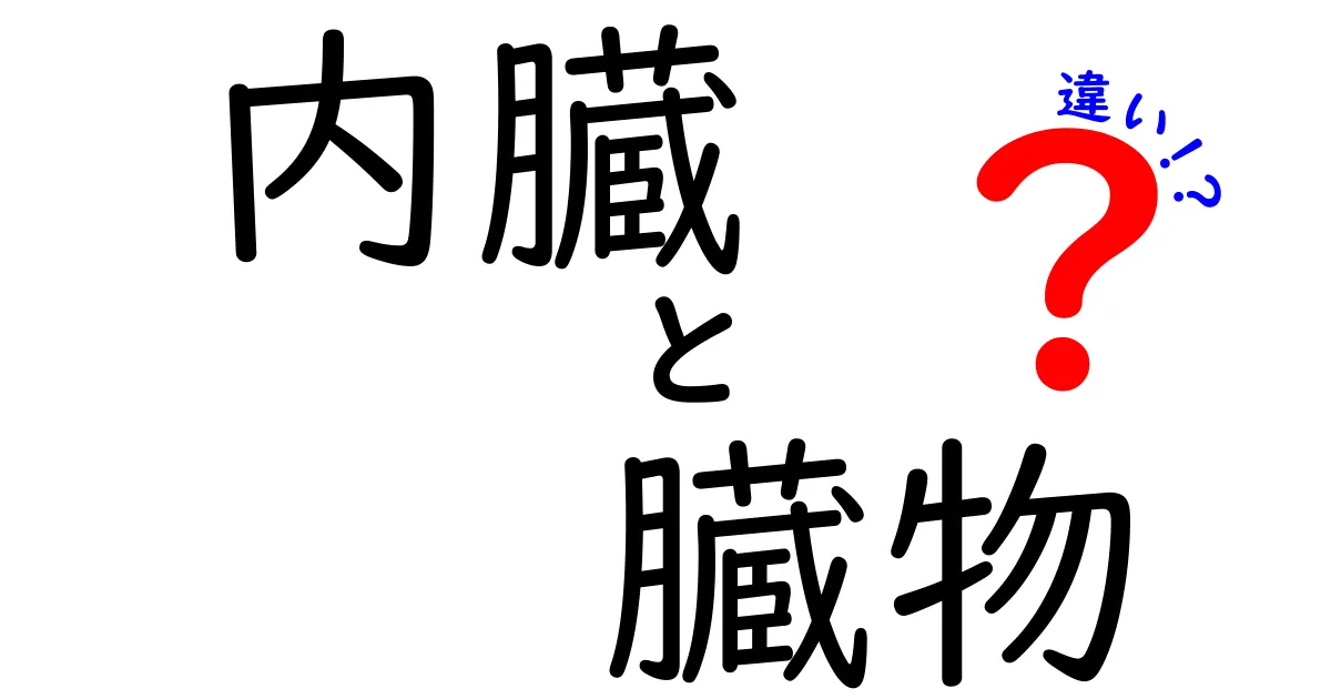 内臓と臓物の違いはここが違う！中学生にも分かる用語の境界と使い方