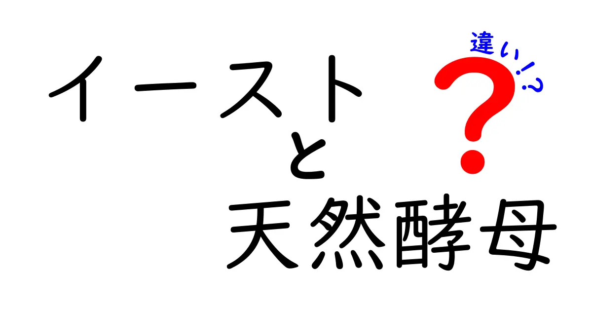 イーストと天然酵母の違いを徹底解説｜初心者にも分かる使い分けガイド