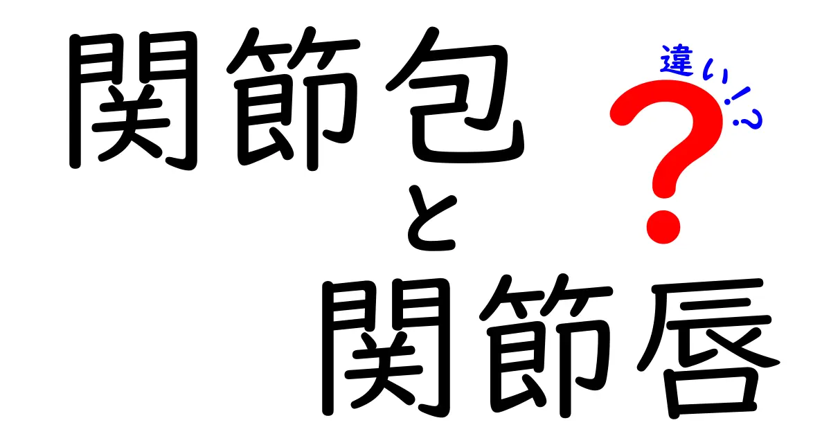 関節包と関節唇の違いを図解で完全解説！日常での役割と痛みの見分け方