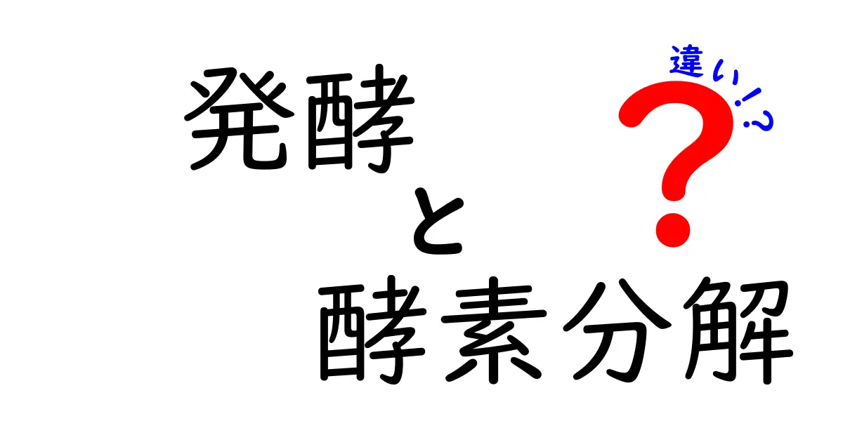 発酵と酵素分解の違いを徹底解説！中学生にも分かるやさしい説明と実例