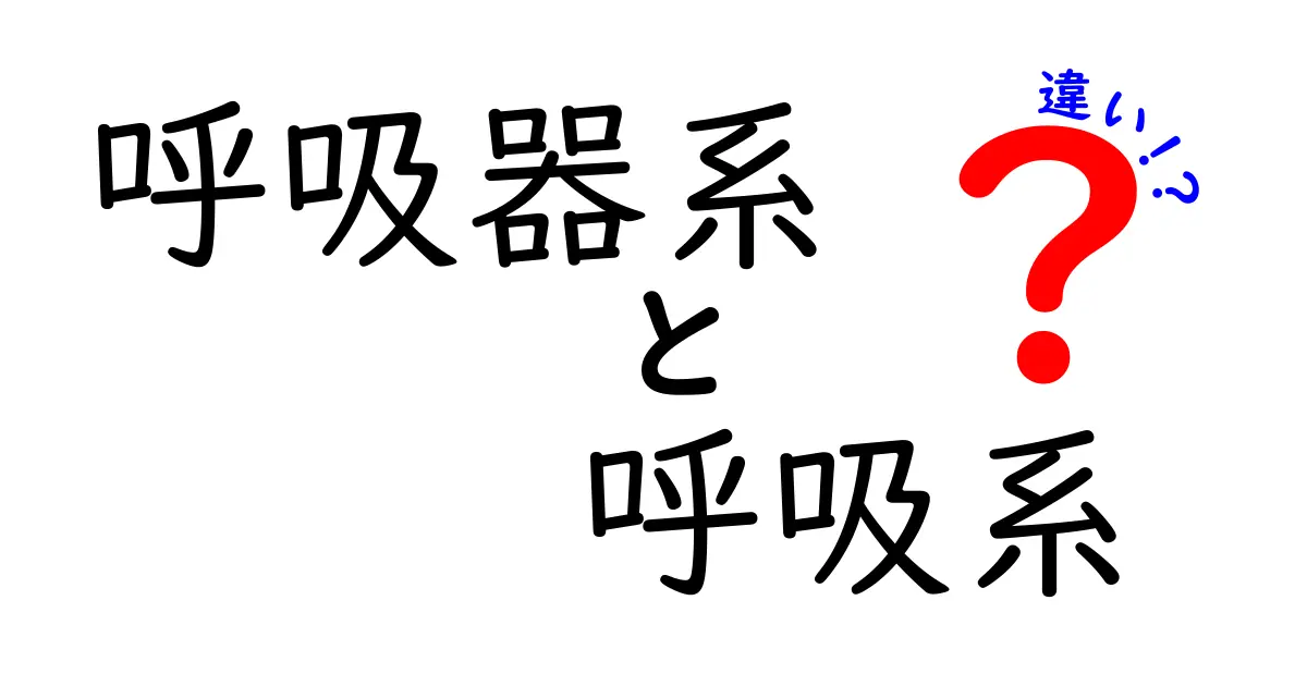 呼吸器系と呼吸系の違いを徹底解説！専門用語と日常表現の境界をわかりやすく