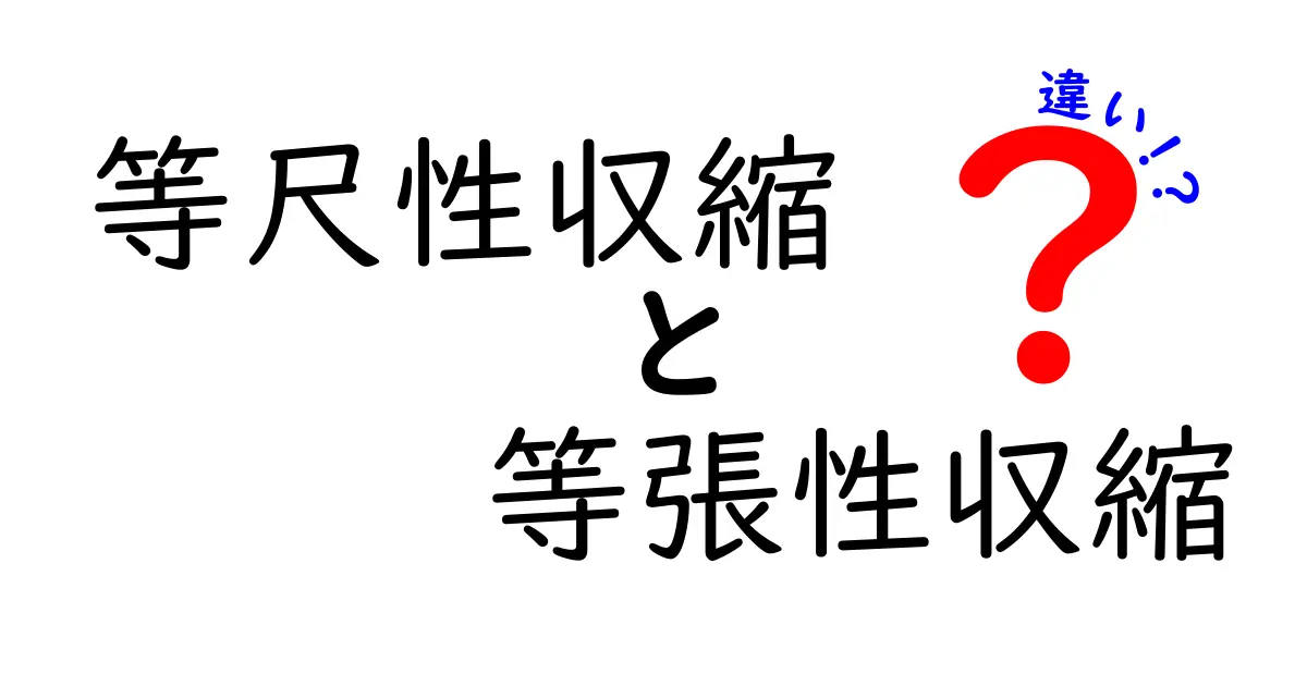 等尺性収縮と等張性収縮の違いを徹底解説！中学生にもわかる筋肉のしくみと練習のコツ