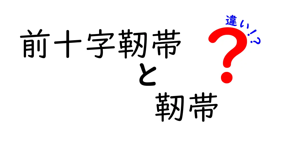 前十字靭帯と靭帯の違いを完全解説！膝の怪我を予防する基礎知識