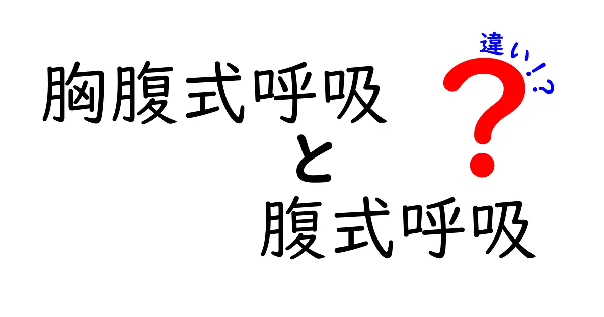胸腹式呼吸と腹式呼吸の違いを徹底解説！日常で使い分ける7つのポイント