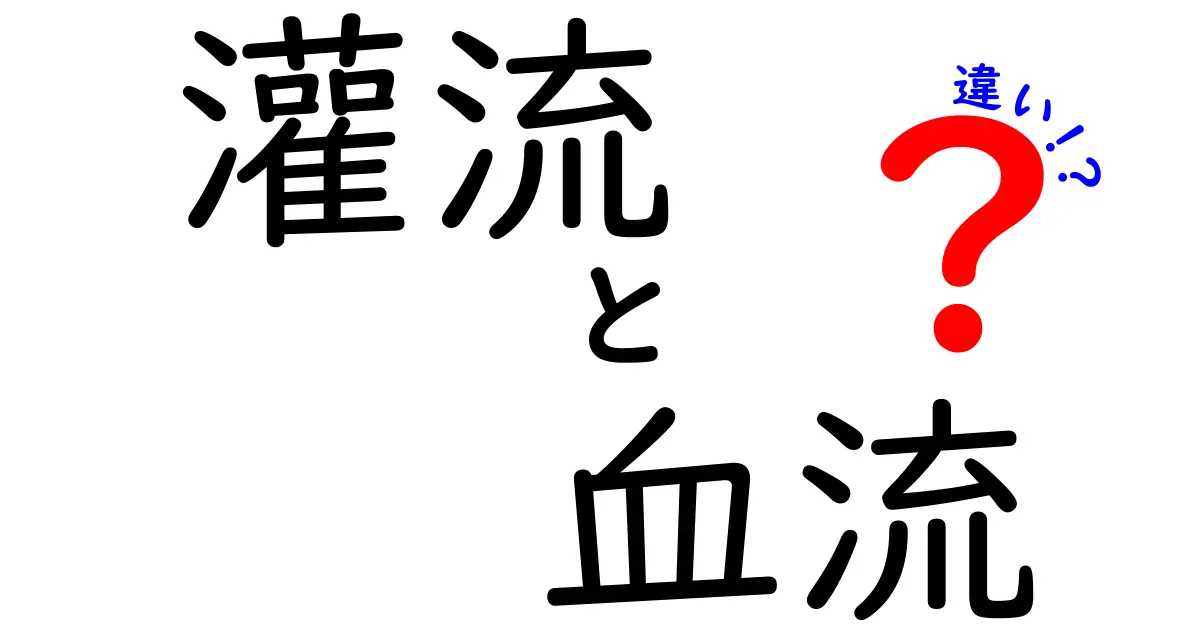 灌流と血流の違いを徹底解説！中学生にもわかるやさしい説明