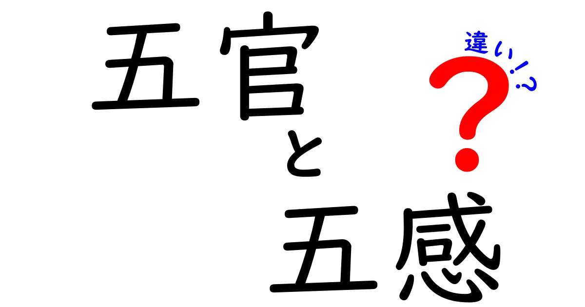 五官と五感の違いを徹底解説：中学生にもわかる基礎と日常の見分け方