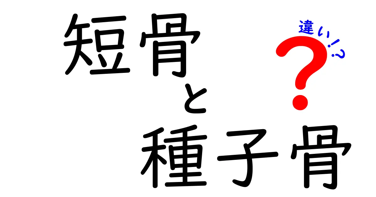 短骨と種子骨の違いを徹底解説！中学生にもわかる見分け方と役割の違い