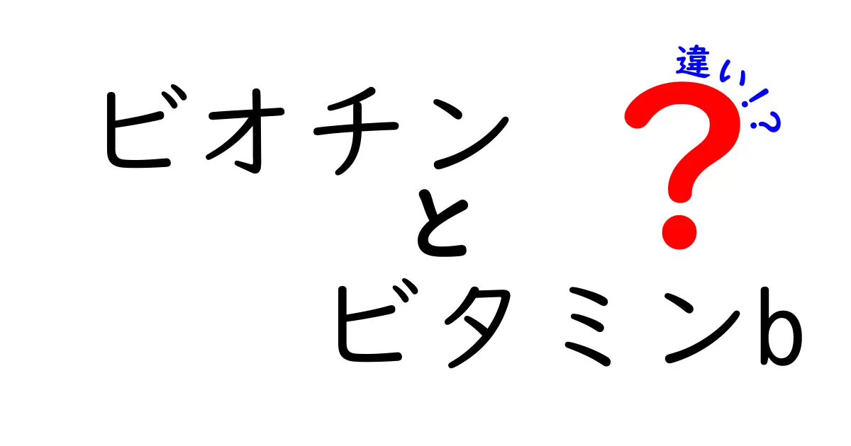 ビオチンとビタミンBの違いを徹底解説！初心者にもわかる栄養素の役割と摂り方