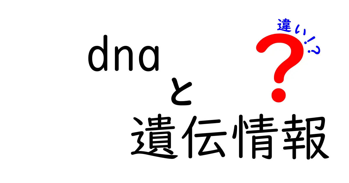 DNAと遺伝情報の違いを徹底解説！中学生にも分かるやさしい説明