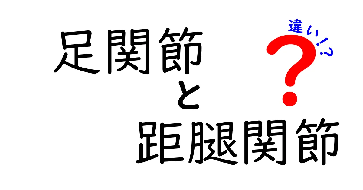 足関節と距腿関節の違いを徹底解説！日常の痛みサインを見分けるコツ