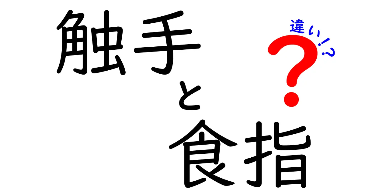 触手と食指の違いを完全解説｜中学生にもわかるやさしい日本語