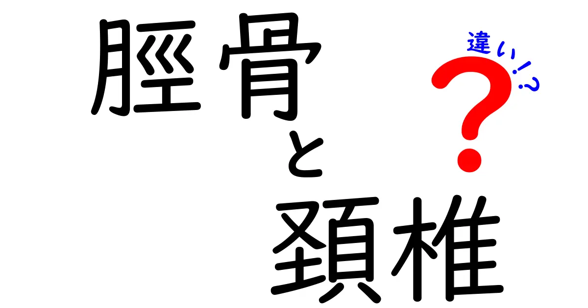脛骨と頚椎の違いを徹底解説：体の中の大切な骨の役割をわかりやすく理解しよう