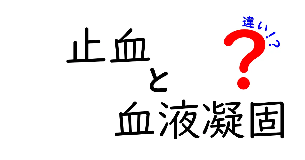 止血と血液凝固の違いをやさしく解説｜中学生にもわかるポイントと日常生活のヒント