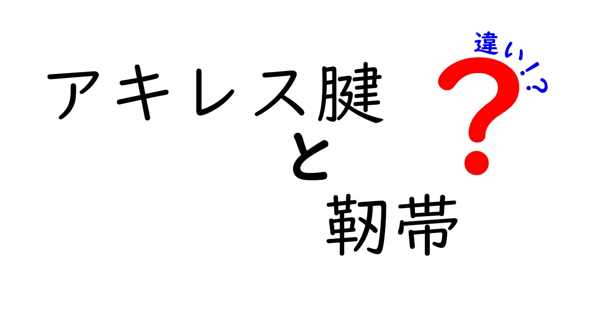 アキレス腱と靭帯の違いを徹底解説！スポーツ怪我を予防するための基本を中学生にも分かる図解付き