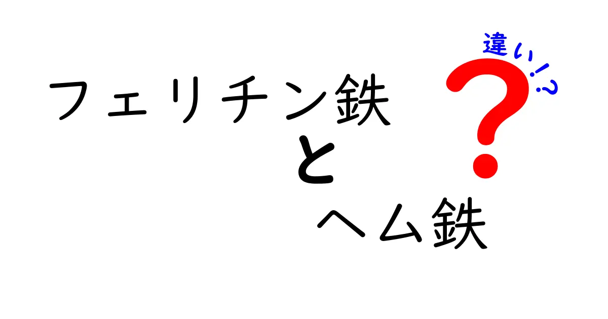 フェリチン鉄とヘム鉄の違いを徹底解説｜吸収率・食品・健康への影響までわかる完全ガイド