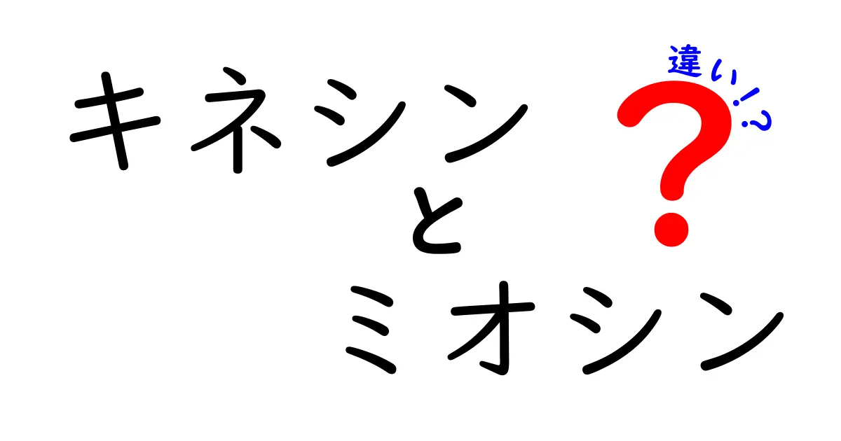 キネシンとミオシンの違いを徹底解説！細胞の分子モーターをやさしく理解する入門ガイド