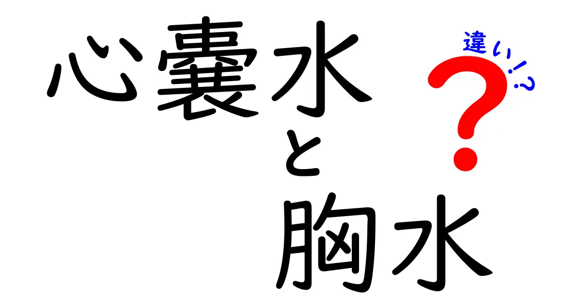 心嚢水と胸水の違いを徹底解説：原因・症状・診断・治療をわかりやすく