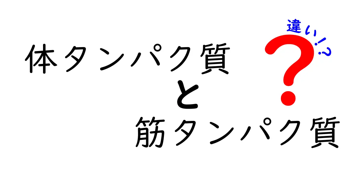 体タンパク質と筋タンパク質の違いを徹底解説：毎日の体づくりに役立つポイント