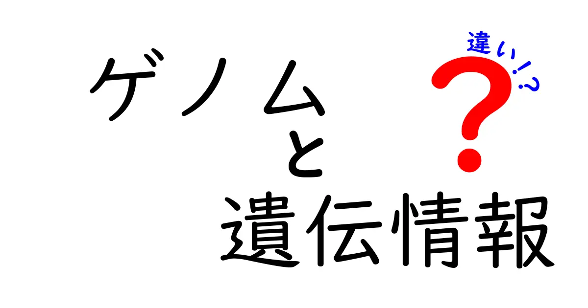 ゲノムと遺伝情報の違いを徹底解説！中学生にも分かるやさしい説明
