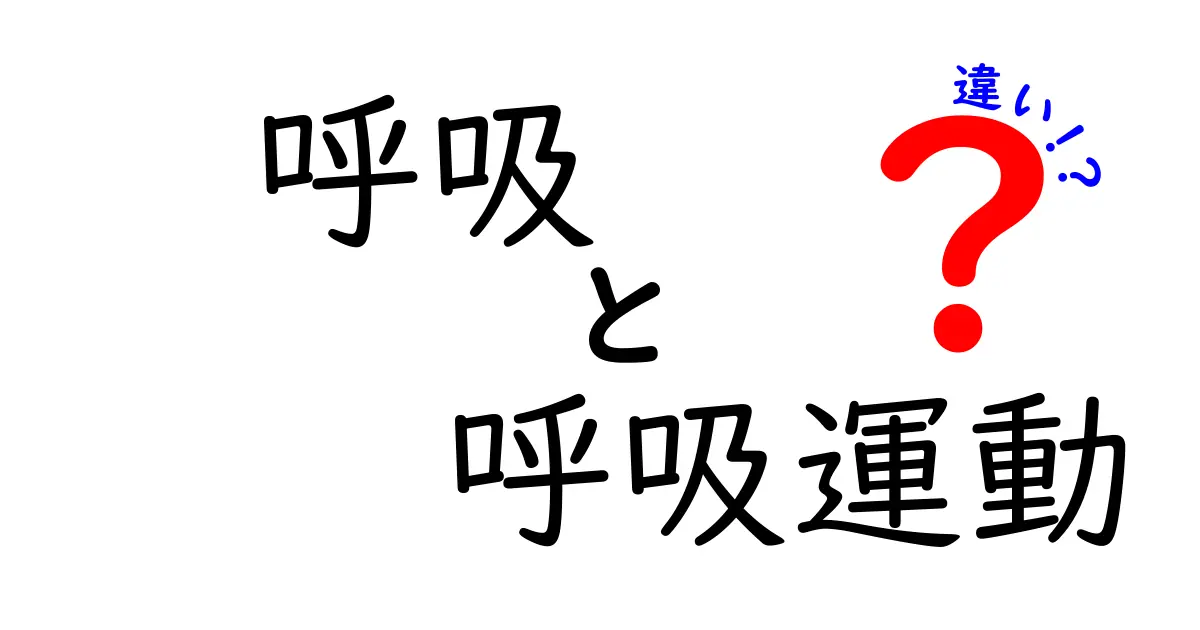 呼吸と呼吸運動の違いを徹底解説！中学生にもわかる3つのポイント