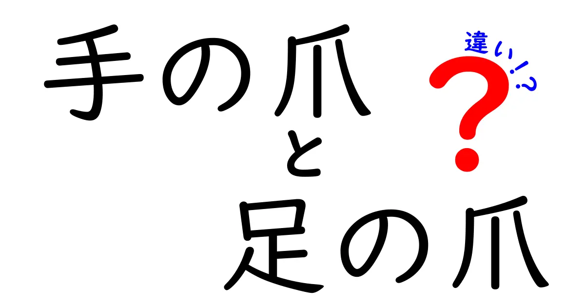 手の爪と足の爪の違いを徹底解説｜成長・形・ケアのポイントを中学生にもわかりやすく